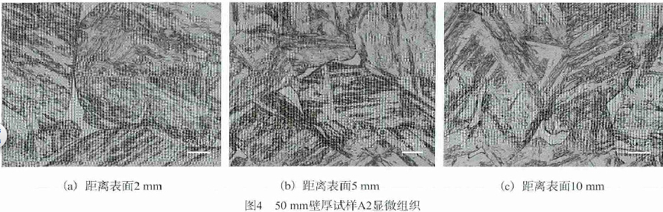 圖4  50 mm壁厚試樣A2顯微組織