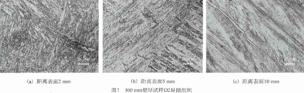 圖7   300mm壁厚試樣D2顯微組織