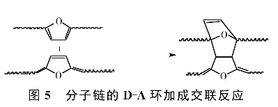 圖5分子鏈的D-A環(huán)加成交聯(lián)反應